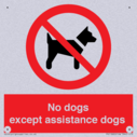 no-dogs-except-assistance-dogs~